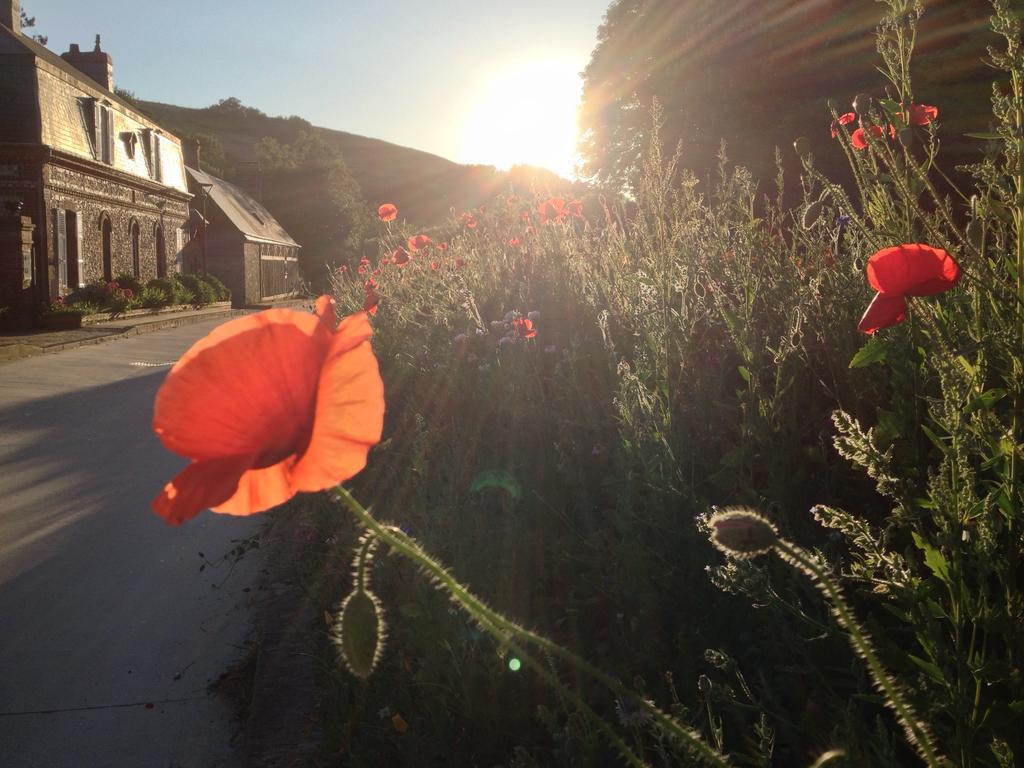 La Flore De Lys, Cottage Ideal Pour 2 Adultes Et 2 Enfants Saint-Jouin-Bruneval Cameră foto