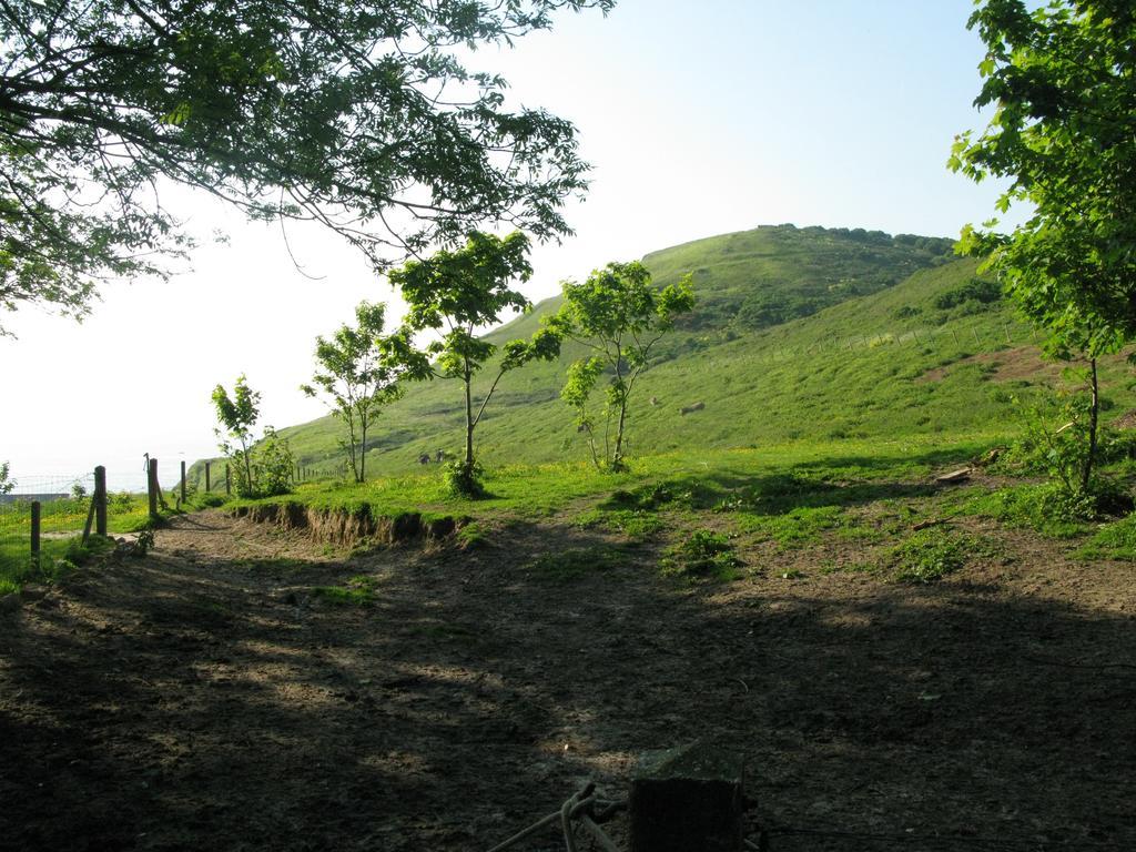 La Flore De Lys, Cottage Ideal Pour 2 Adultes Et 2 Enfants Saint-Jouin-Bruneval Cameră foto