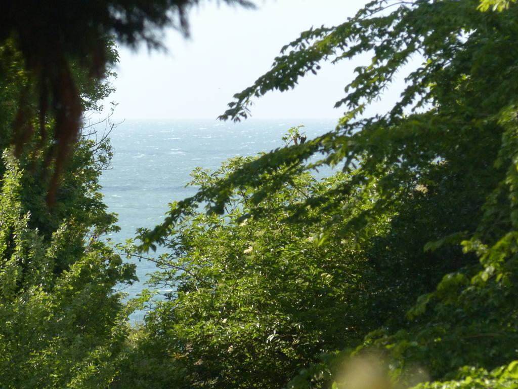 La Flore De Lys, Cottage Ideal Pour 2 Adultes Et 2 Enfants Saint-Jouin-Bruneval Cameră foto